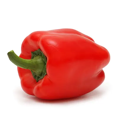 Paprika tekst